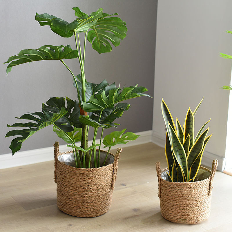กระถางต้นไม้ทำจากหวายธรรมชาติท - Rattan Tray Handle บทวิจารณ์และราคา