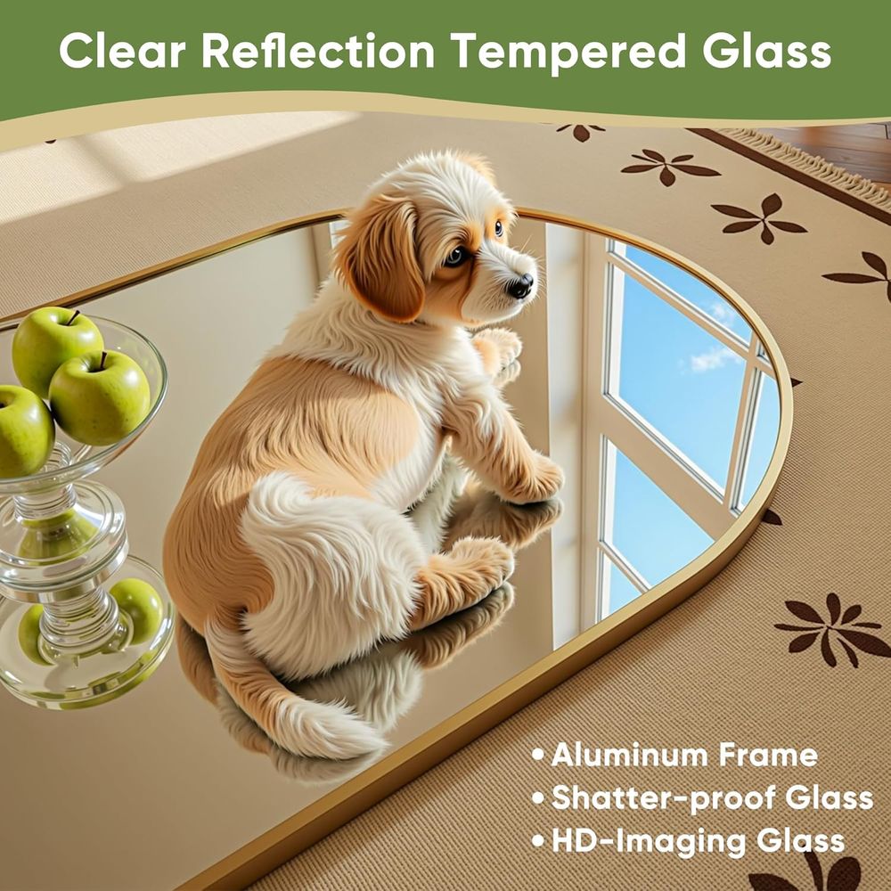กระจกโค้งเต็มตัวขนาด 71 x 28 น - Arch Mirror Leaning บทวิจารณ์และราคา